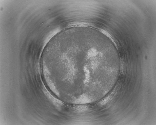 X0000060261090200511181348