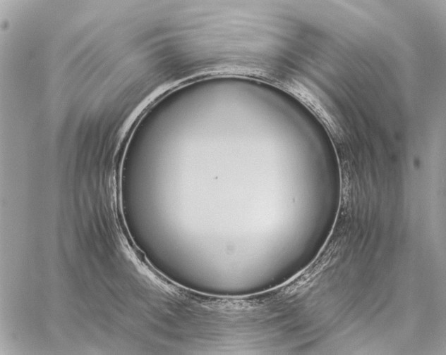 X0000060261092200511181348