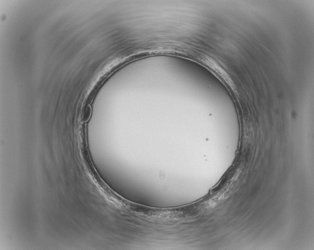 X0000060261093200511181348