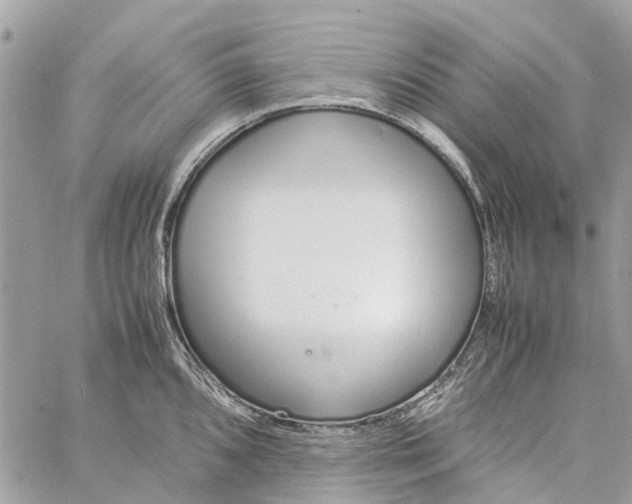 X0000060261096200511181348