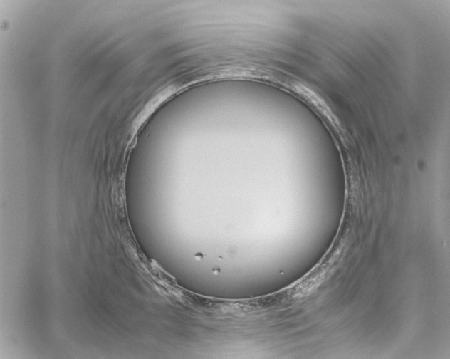 X0000060261097200511181348