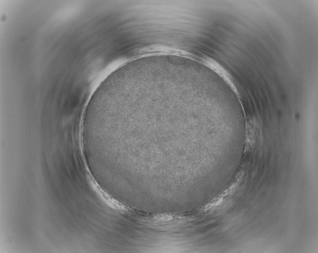 X0000060261098200511181348