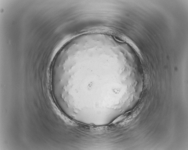 X0000060261099200511181348