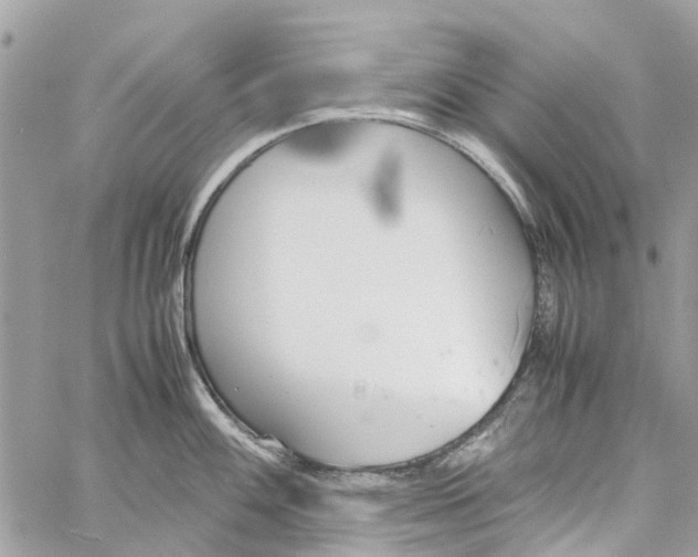 X0000060261100200511181348