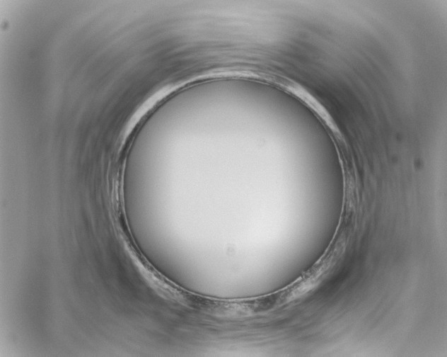 X0000060261101200511181348