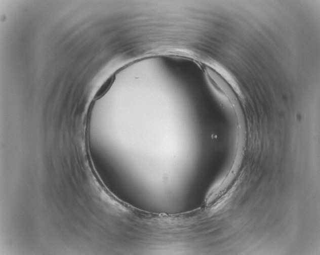 X0000060261102200511181348