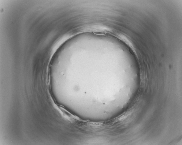 X0000060261103200511181348