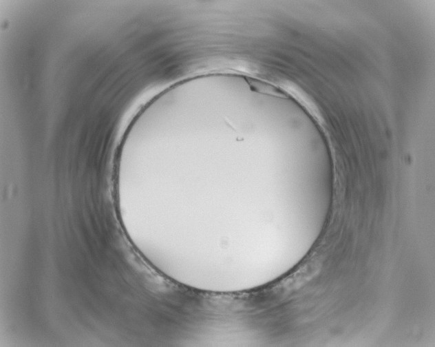 X0000060261104200511181348