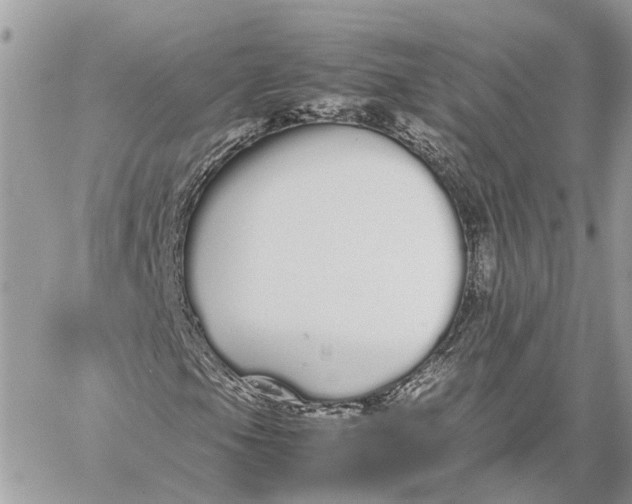 X0000060261105200511181347