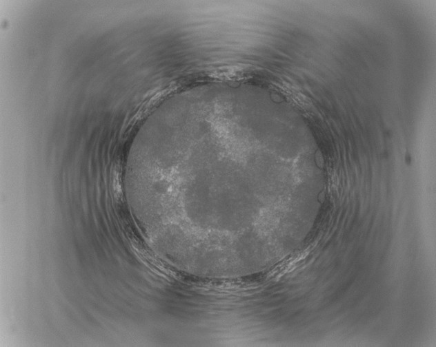 X0000060261106200511181347