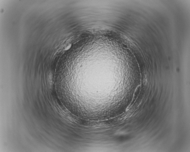 X0000060261108200511181347