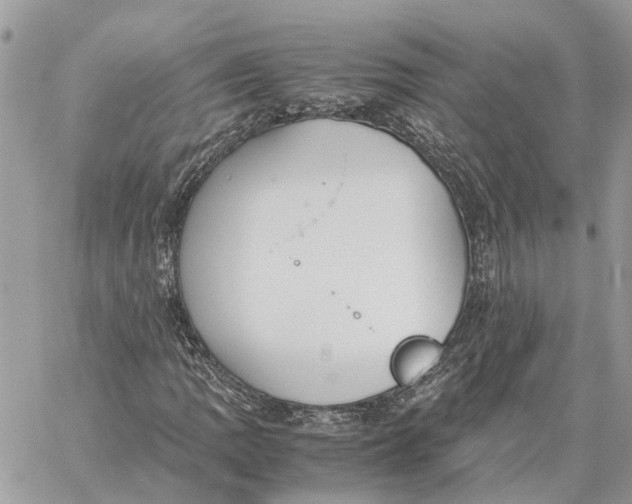 X0000060261109200511181347