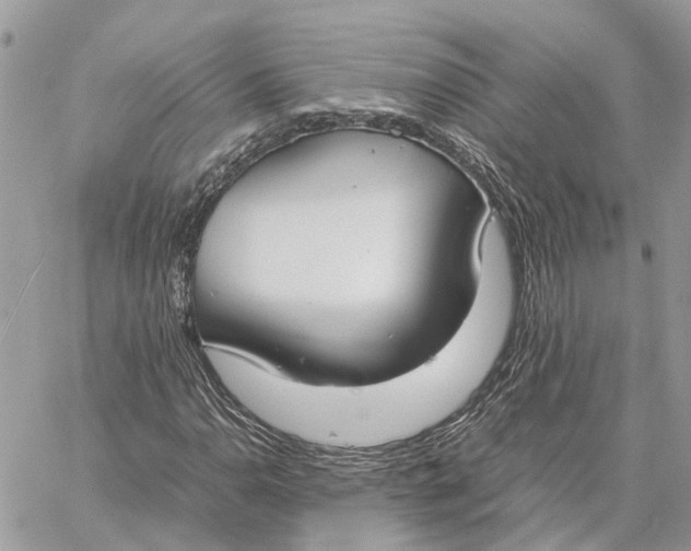 X0000060261110200511181347