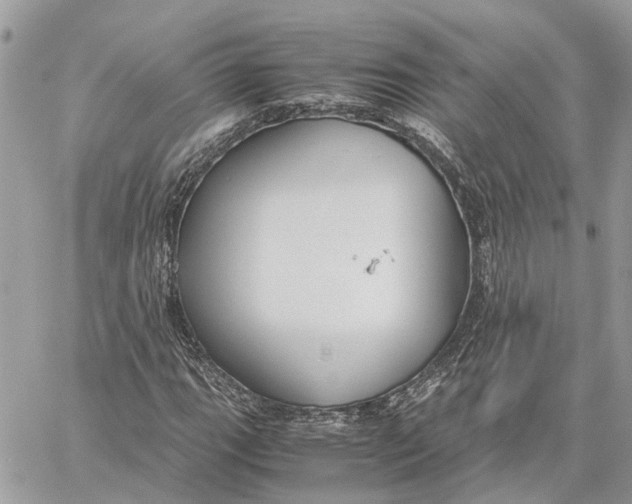 X0000060261111200511181347