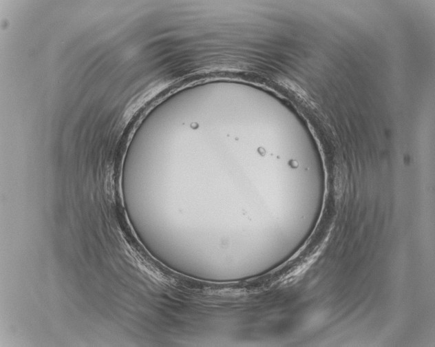 X0000060261113200511181347