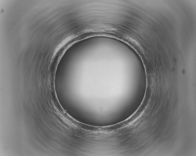 X0000060261114200511181347