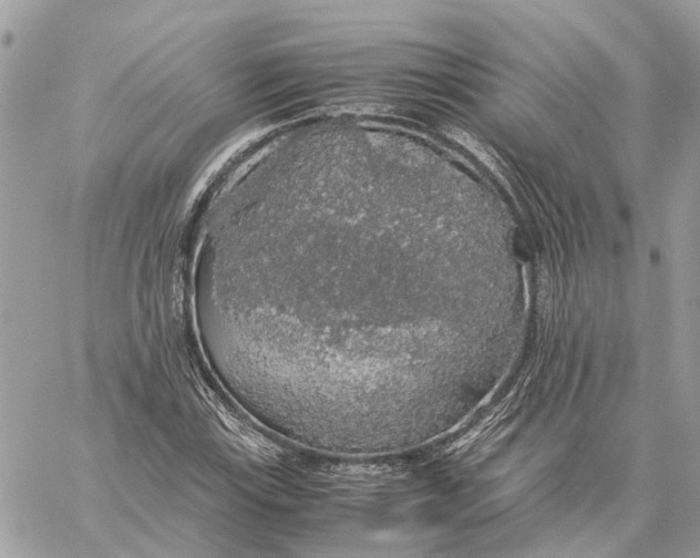 X0000060261115200511181347