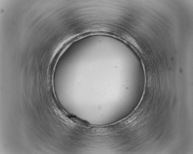 X0000060261116200511181347