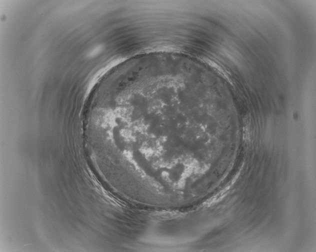 X0000060261117200511181347