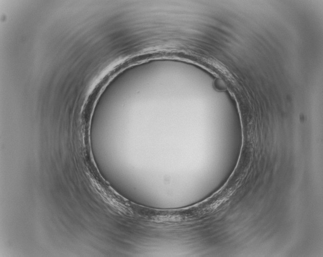 X0000060261118200511181347