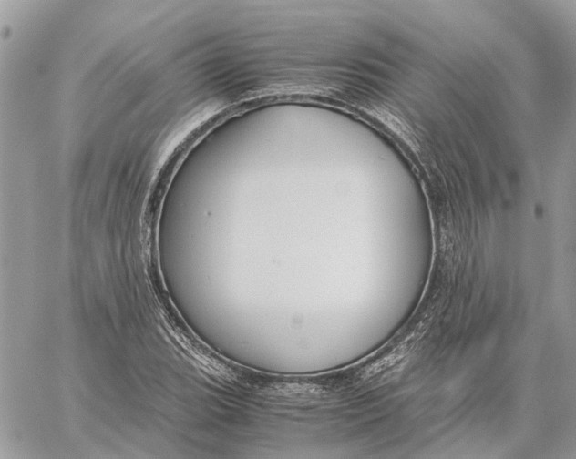 X0000060261119200511181347