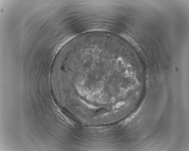 X0000060261121200511181347