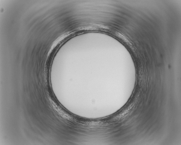 X0000060261122200511181347