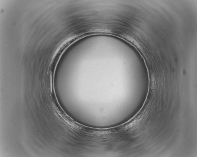 X0000060261123200511181347