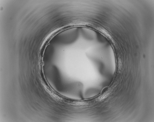 X0000060261124200511181347