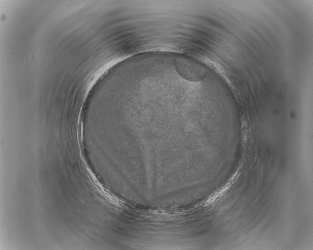 X0000060261125200511181347