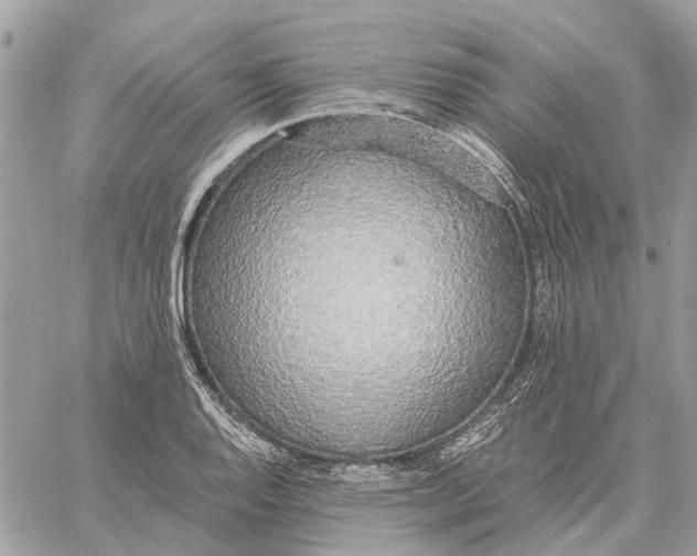 X0000060261128200511181347