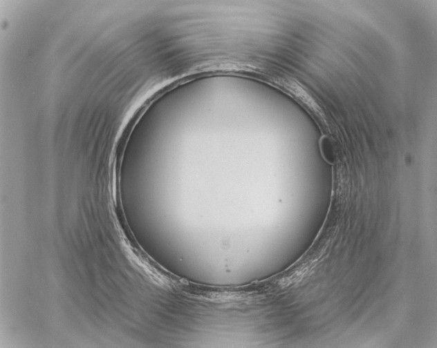 X0000060261132200511181347