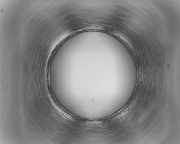 X0000060261135200511181347