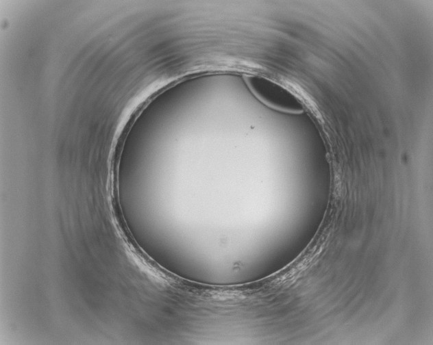 X0000060261136200511181347