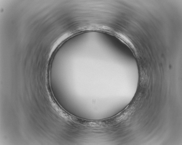 X0000060261138200511181347