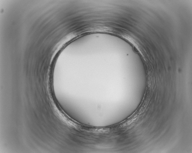 X0000060261139200511181347