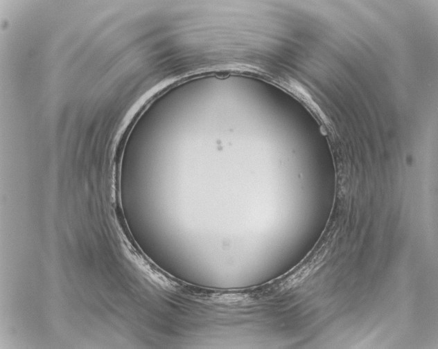 X0000060261140200511181347