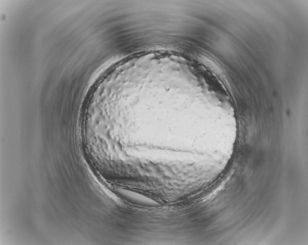 X0000060261141200511181347