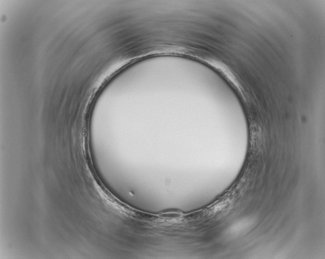 X0000060261143200511181347