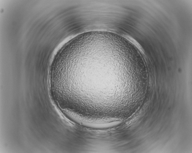 X0000060261144200511181347