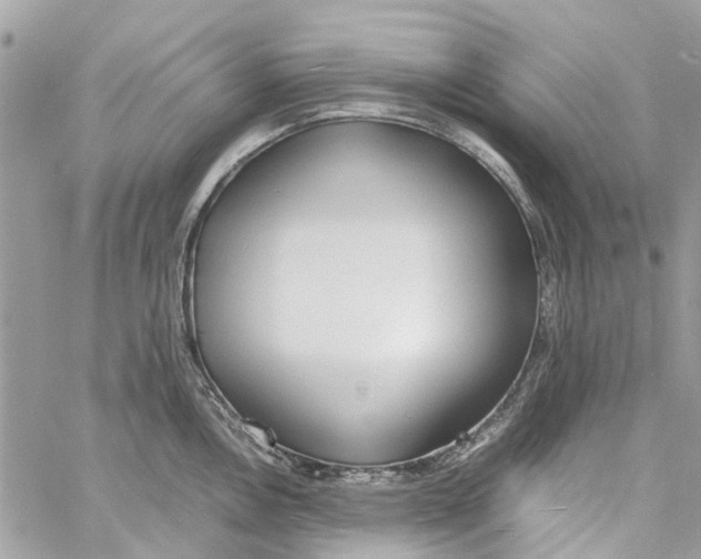 X0000060261146200511181347