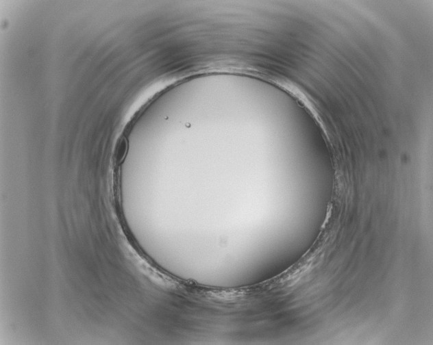 X0000060261147200511181347