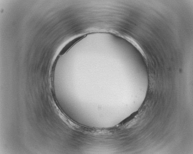 X0000060261148200511181347