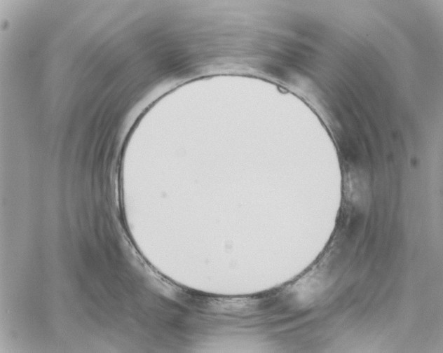 X0000060261150200511181348