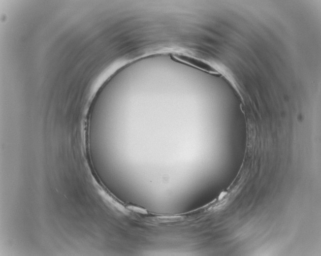 X0000060261151200511181348