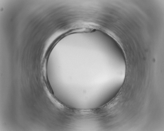 X0000060261152200511181348