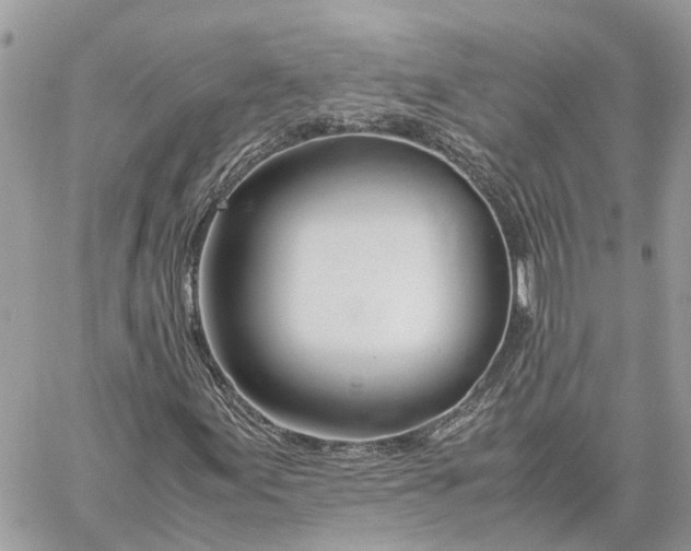 X0000060261155200511181347