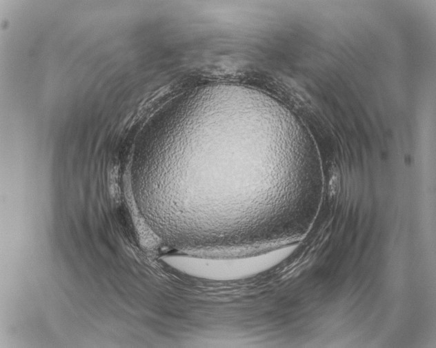 X0000060261156200511181347