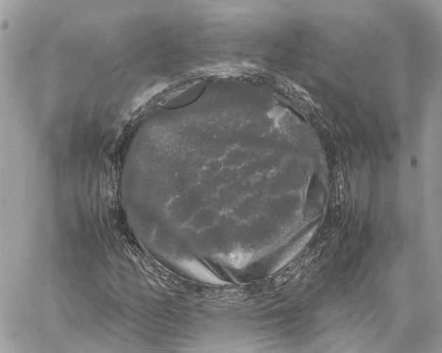 X0000060261158200511181347