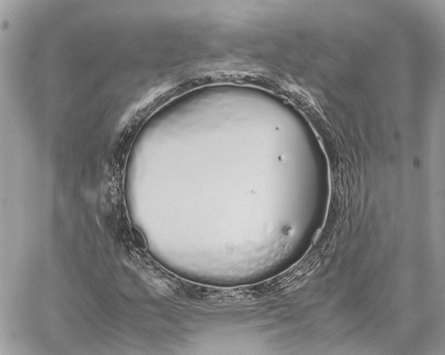 X0000060261159200511181347